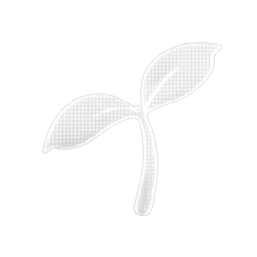 Jia Chen - Co-founder and developer portrait