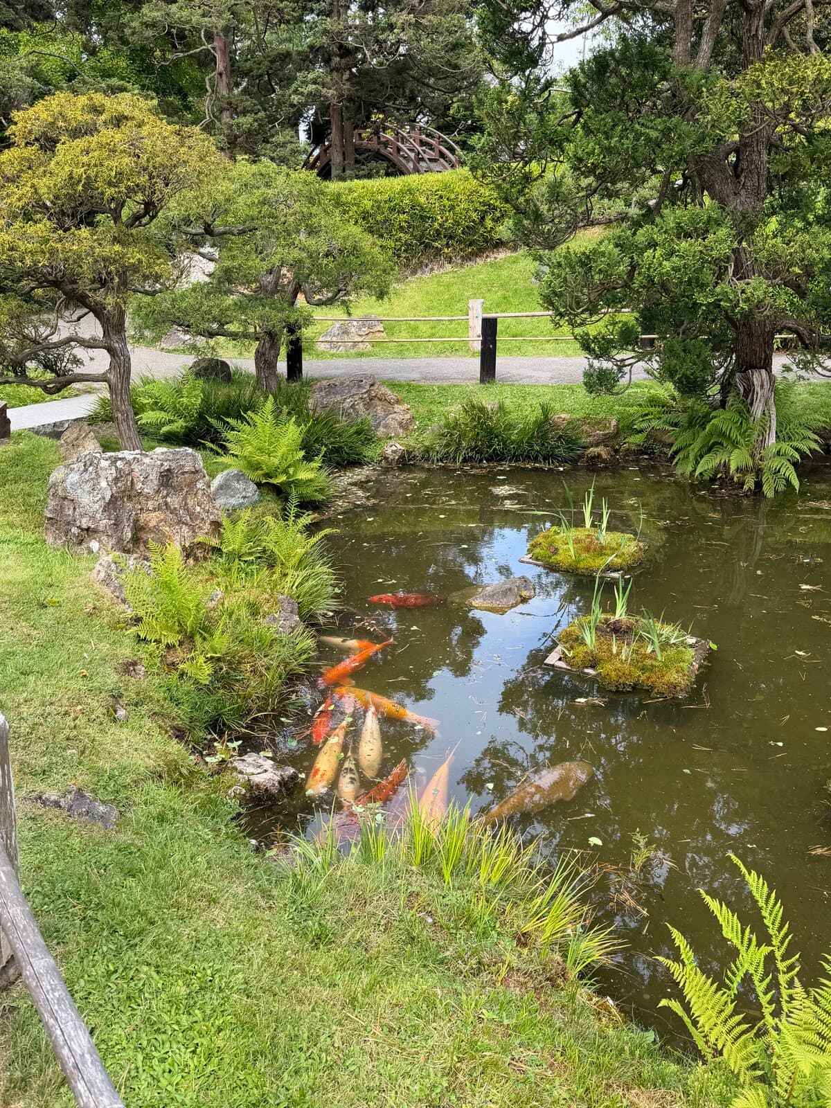 red bridge at the japanese tea garden