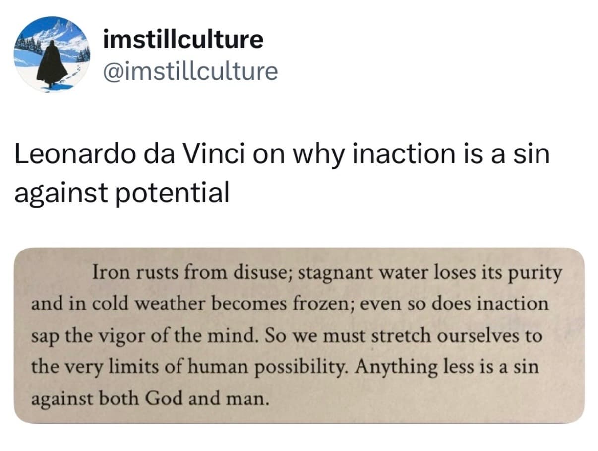 vinci